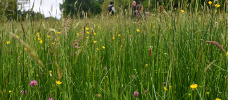 Les prairies du Gers récompensées à Paris