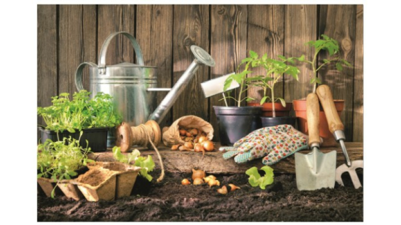 "Partage ton jardin" le samedi 2 avril au jardin des remparts à Condom