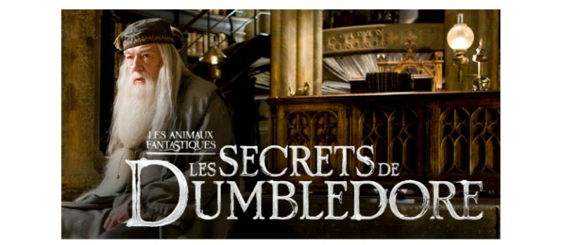 De l'aventure en avant-première dimanche au cinéma avec "Les animaux fantastiques : les secrets de Dumbledore"
