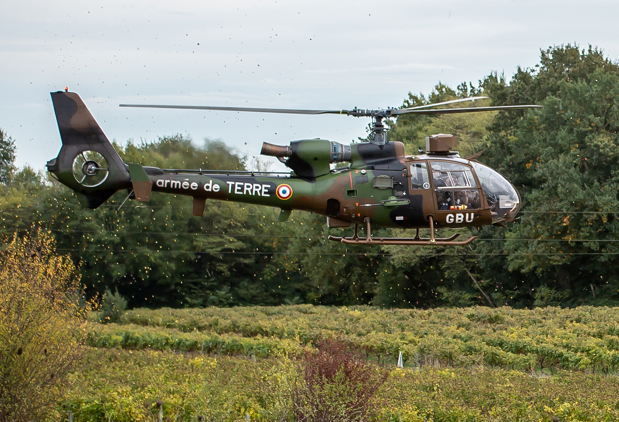 1bis Hélicoptère en approche 1bis 081118_.jpg