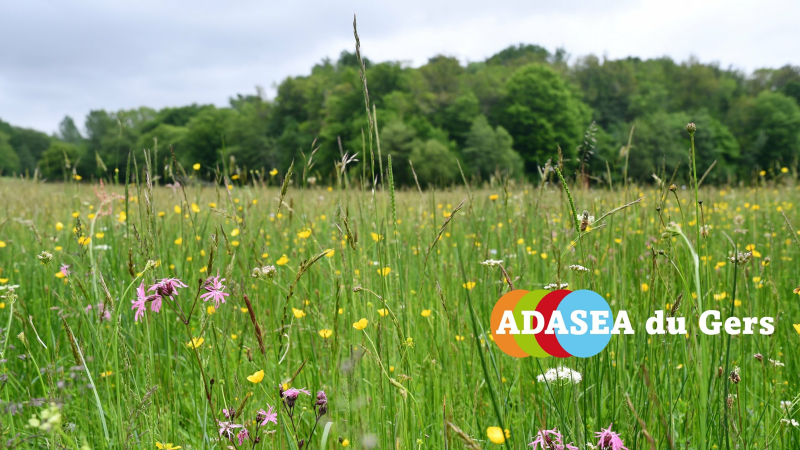 Ouverture des candidatures au concours  des pratiques agro-écologiques 2022