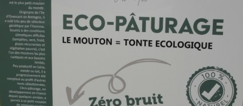 De l’éco-pâturage à Auch!