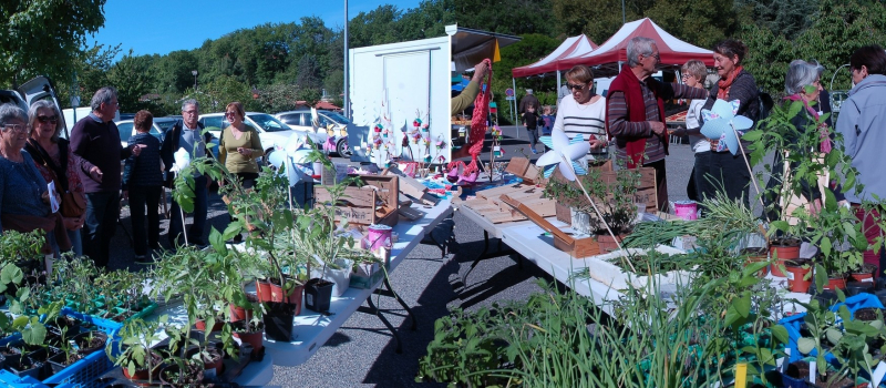 Troc de graines et plants au Marché de Pavie