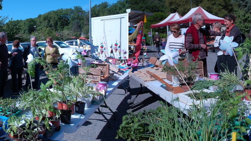 Troc de graines et plants au Marché de Pavie