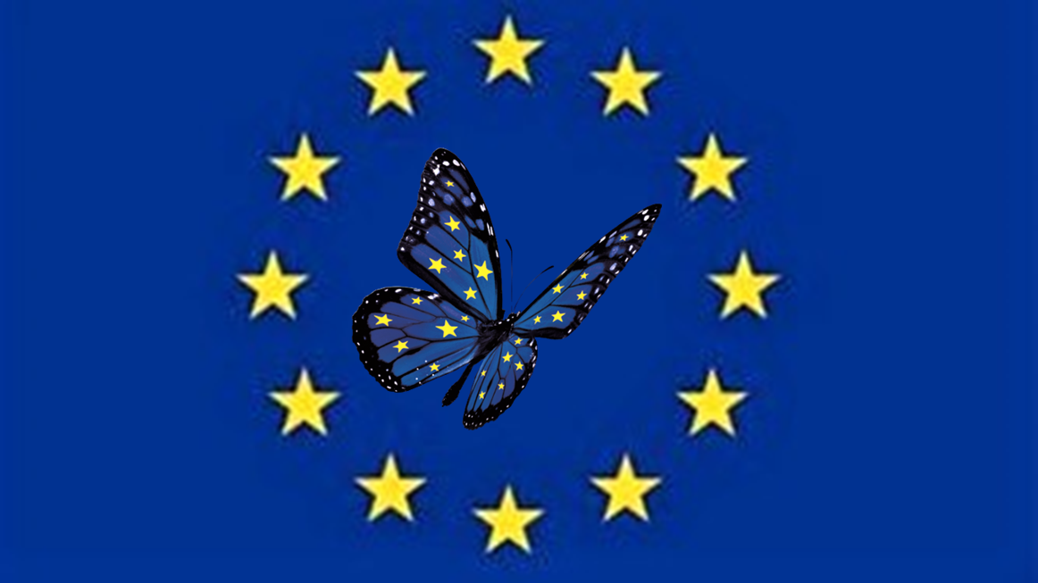 Image1.png
