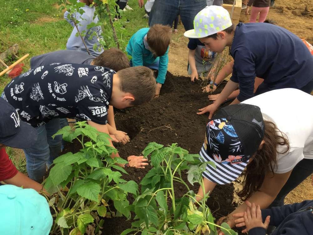 Les enfants de l'ALAE ont participé aux plantations