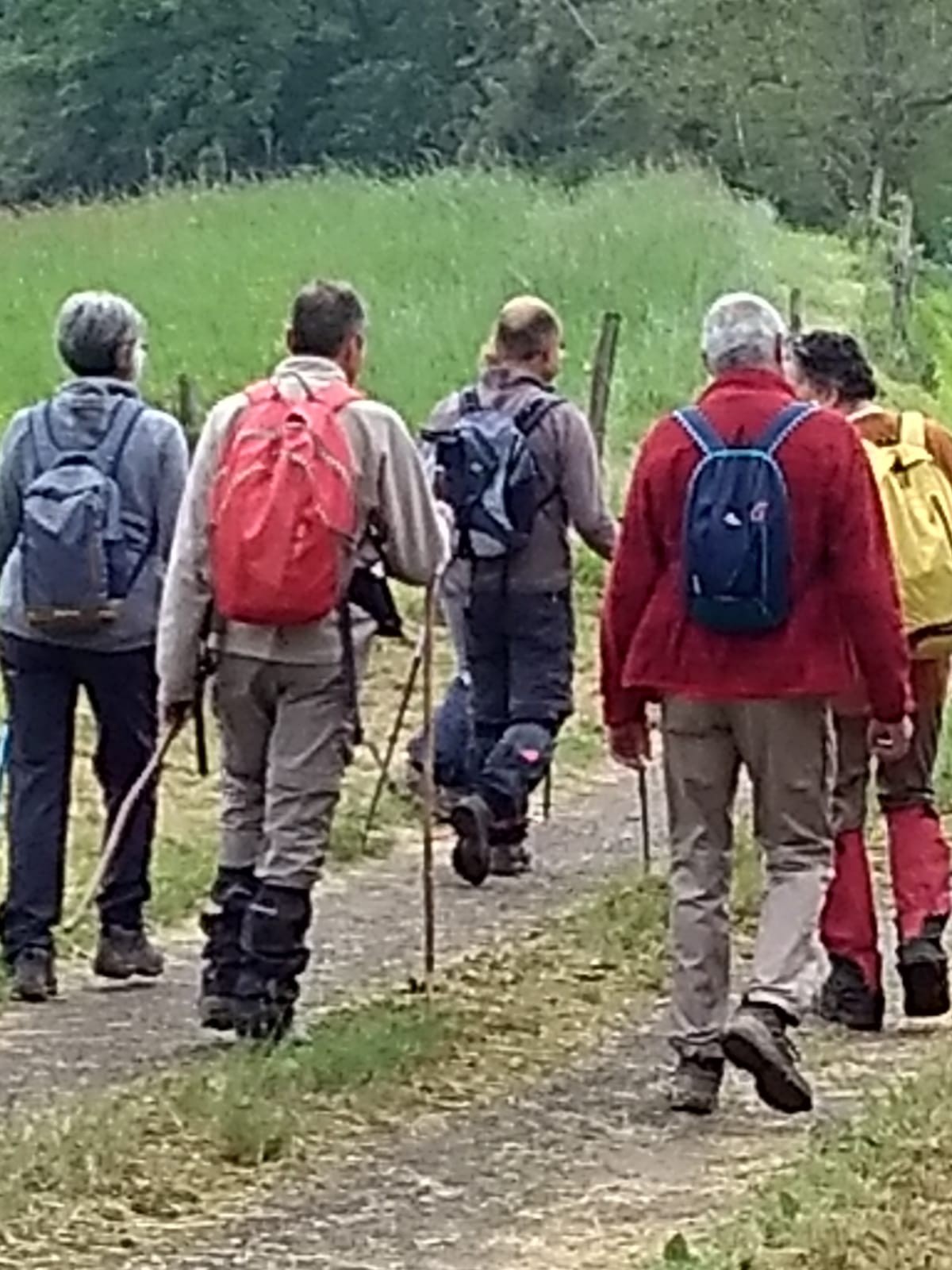 Ils ont déjà commencé la saison !