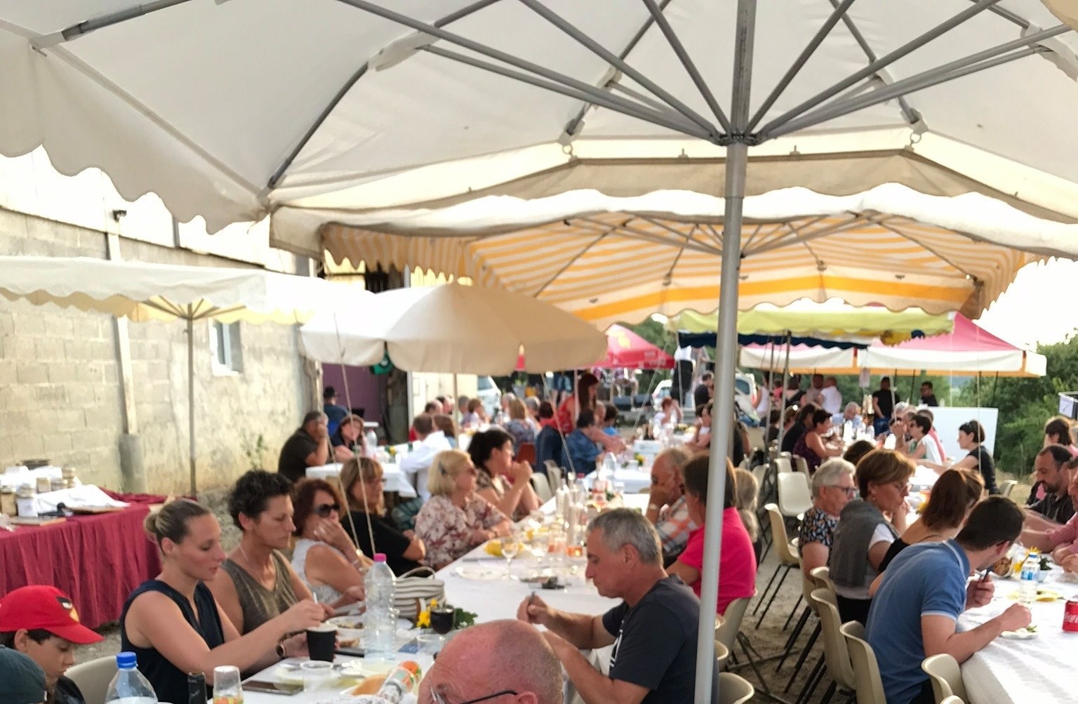 ferme en fete loubersan.jpg