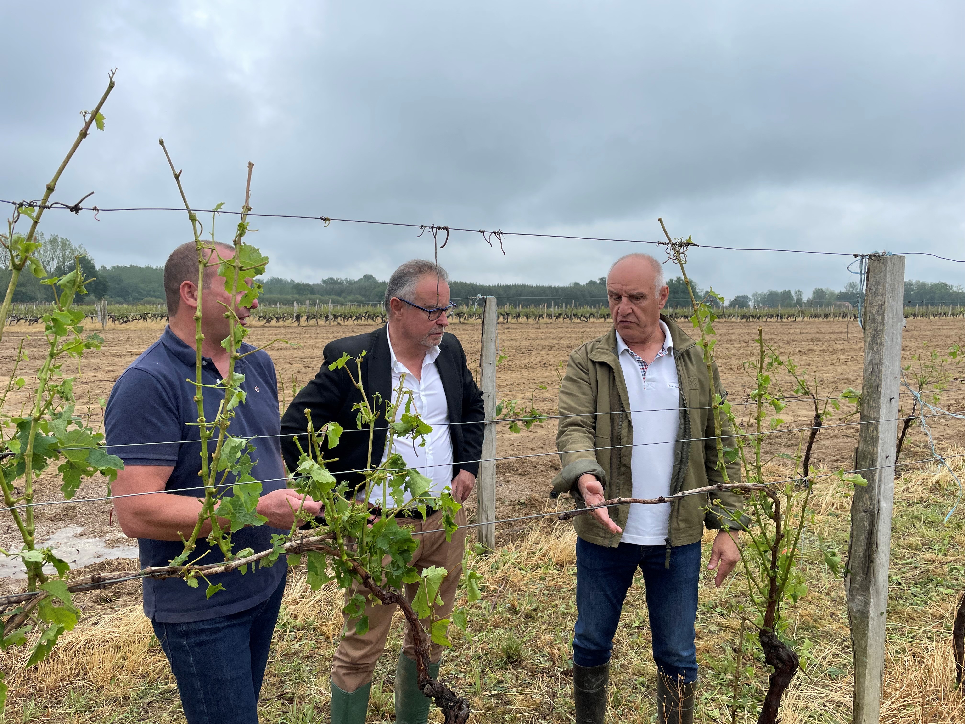 Philippe Dupouy à Castelnau-d'Auzan-Labarrère chez le viticulteur, Vincent Piquemal