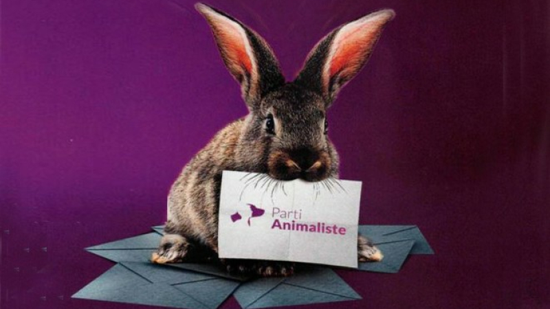 Le parti animaliste en lice