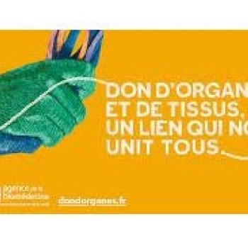 Don d organes 2.JPG