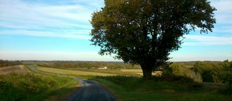 A la découverte d'un patrimoine naturel