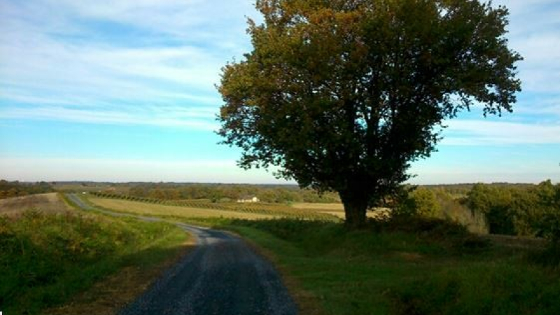 A la découverte d'un patrimoine naturel