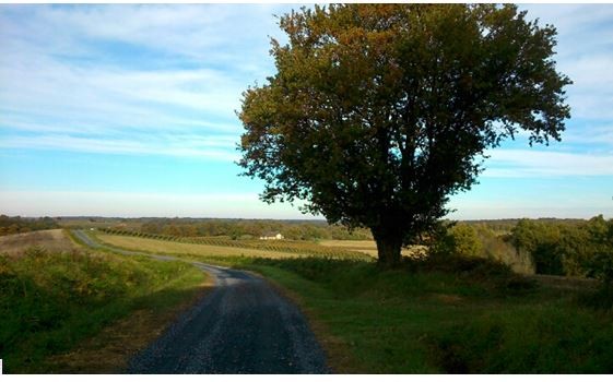 chemin