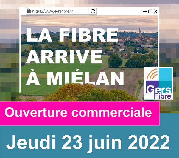 fibre mielan.jpg