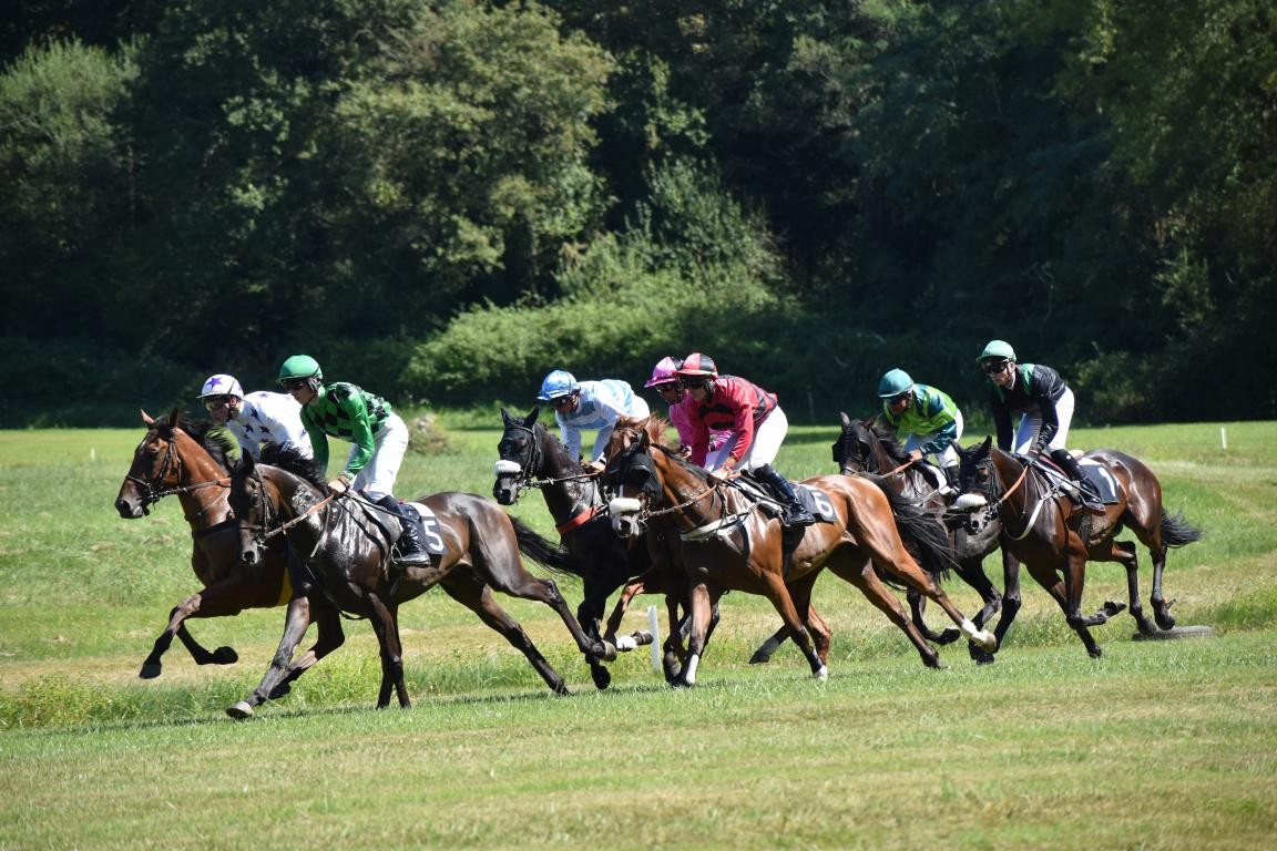 L’entrée à l’hippodrome plus le programme est à 6 euros