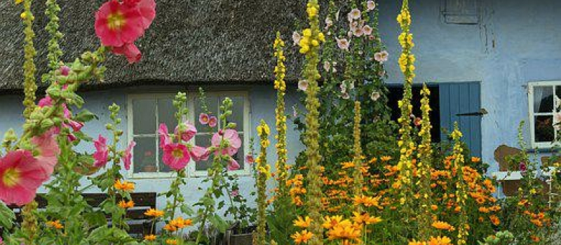 Dernièrement le jury du concours des Maisons Fleuris s’est déplacé dans Mauvezin.