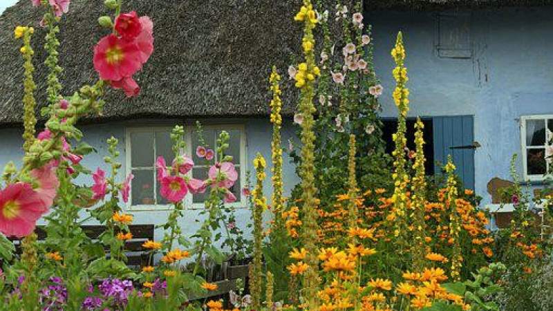 Dernièrement le jury du concours des Maisons Fleuris s’est déplacé dans Mauvezin.