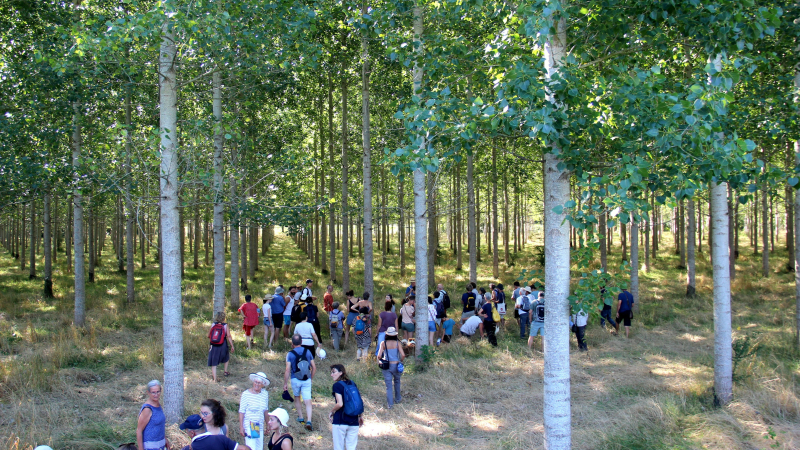 Paysages in Marciac revient pour une 14ème édition sur la santé !