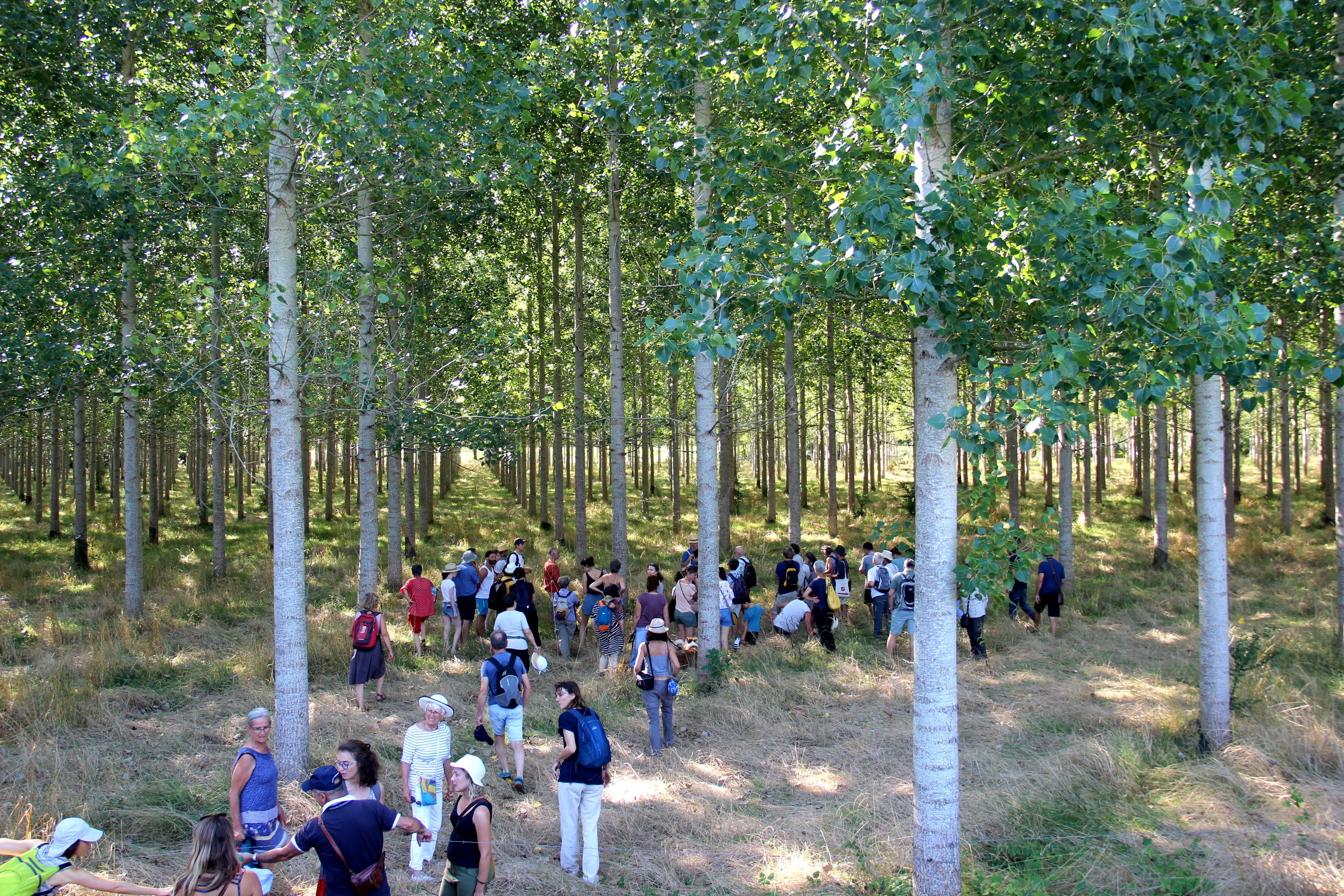 09-08-19-Balade-Sylvotherapie-1.jpg