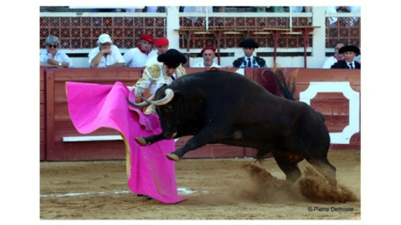 Feria d'Eauze : trois oreilles mais pas le grand spectacle espéré...