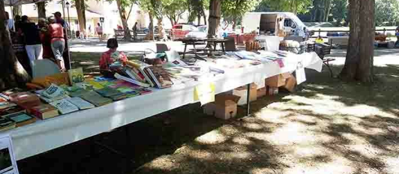 Foire aux livres dans la parc du château,