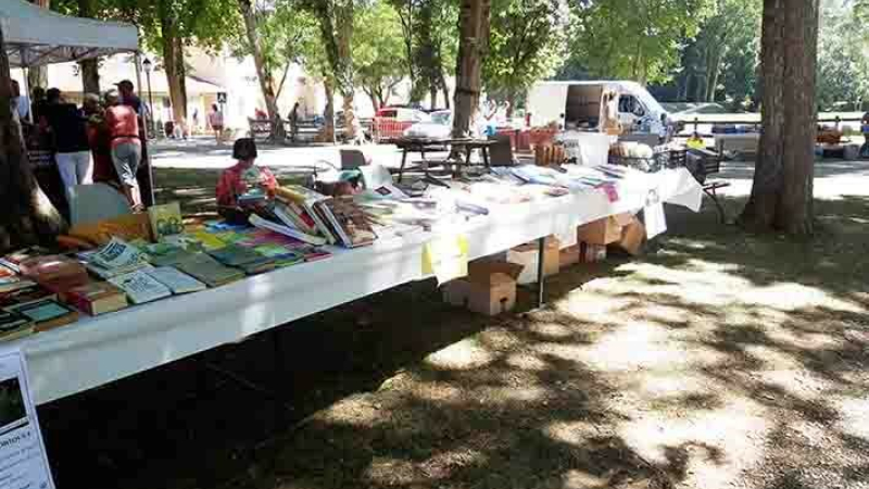 Foire aux livres dans la parc du château,
