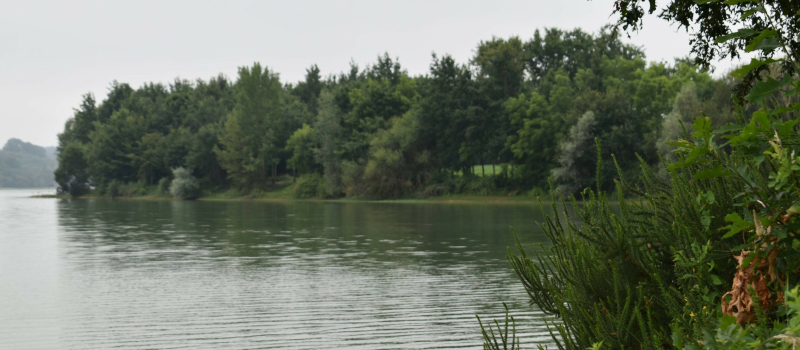 Atelier de pêche au lac de Candau : inscrivez-vous, il reste des places !