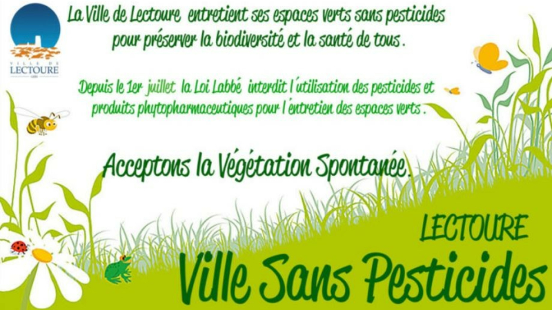 Plaidoyer pour des herbes pas si folles