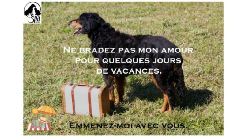 La SPA du Gers lance une nouvelle campagne contre l'abandon en partenariat avec le club ISO d'Auch