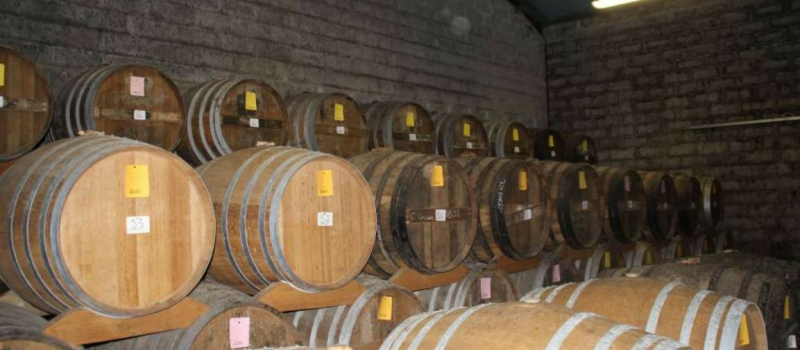 Journée Portes ouvertes au Domaine de Caude
