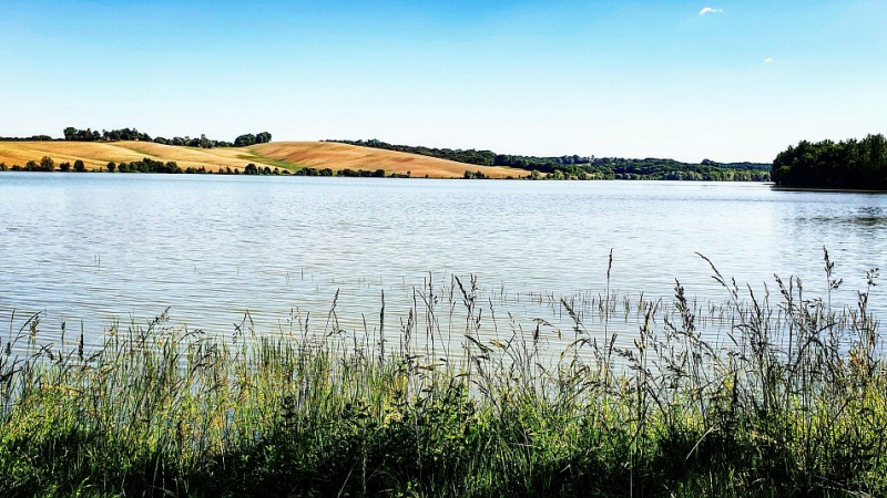 Petite balade autour de la biodiversité au lac de Candau