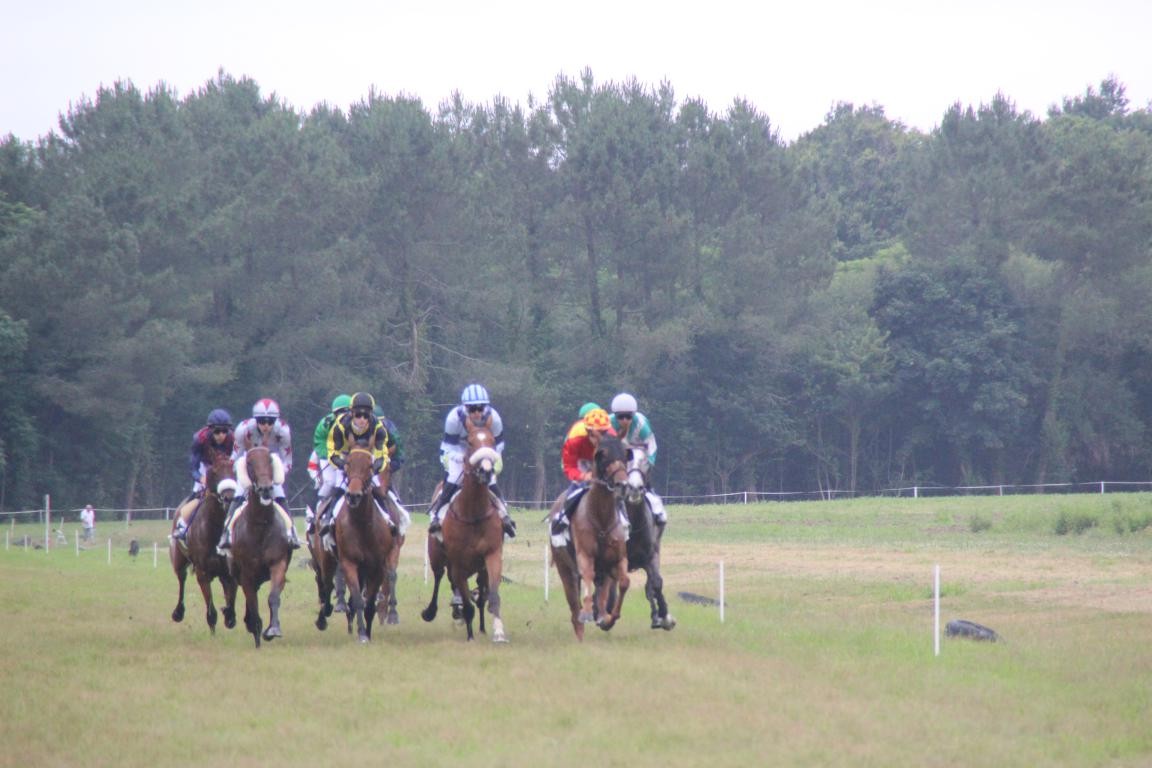 8 courses de chevaux