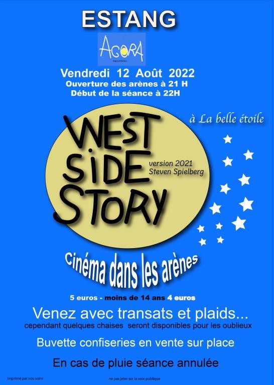affiche cine(1).jpg