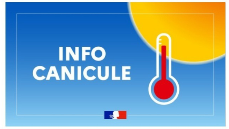 Vigilance jaune canicule : numéro de permanence activé