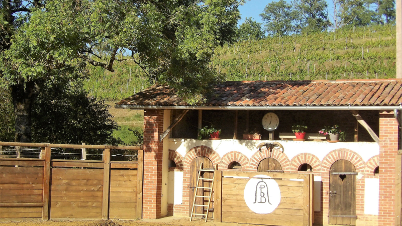 Soirée Toros y Tapas dans les arènes du Lartet mercredi
