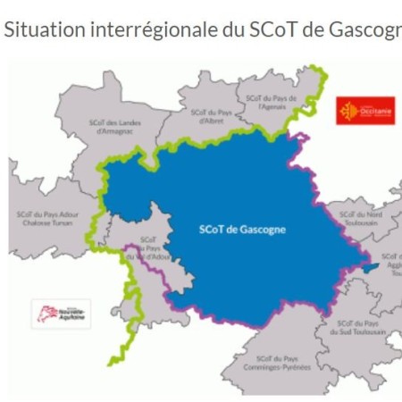 scot gascogne.JPG