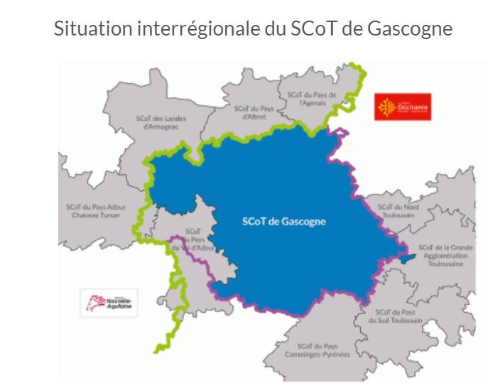 scot gascogne.JPG