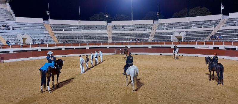 Chevaux et passions du Sud aux arènes jeudi soir