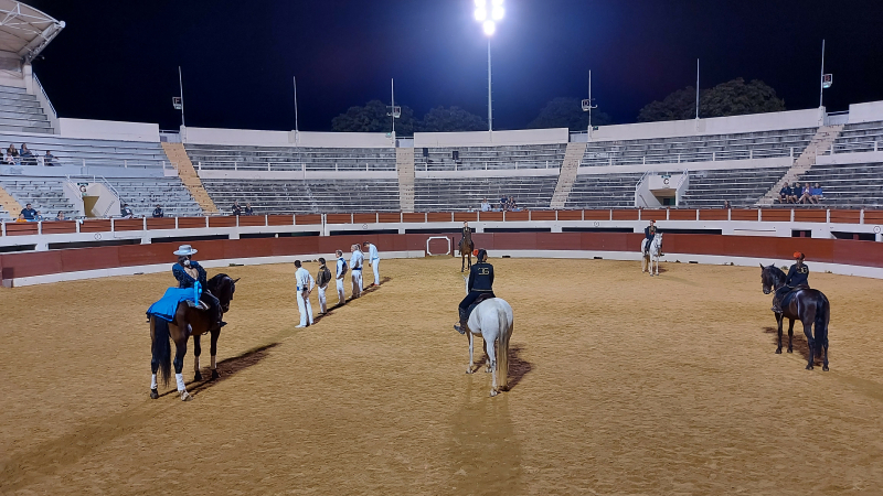 Chevaux et passions du Sud aux arènes jeudi soir