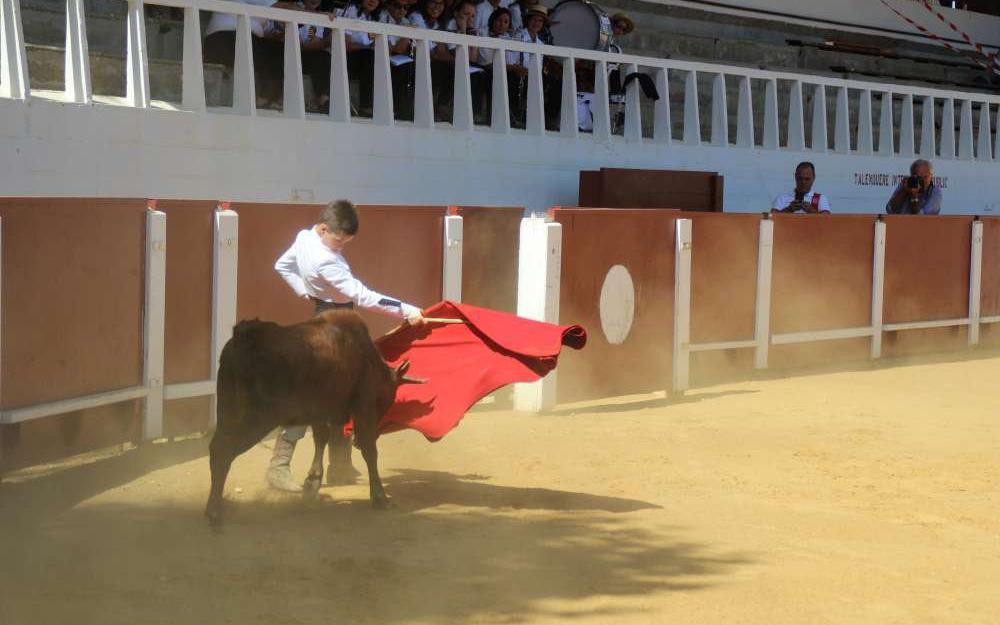 La capea organisée par la  Peña el Duende