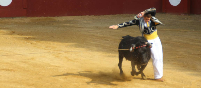 Course landaise