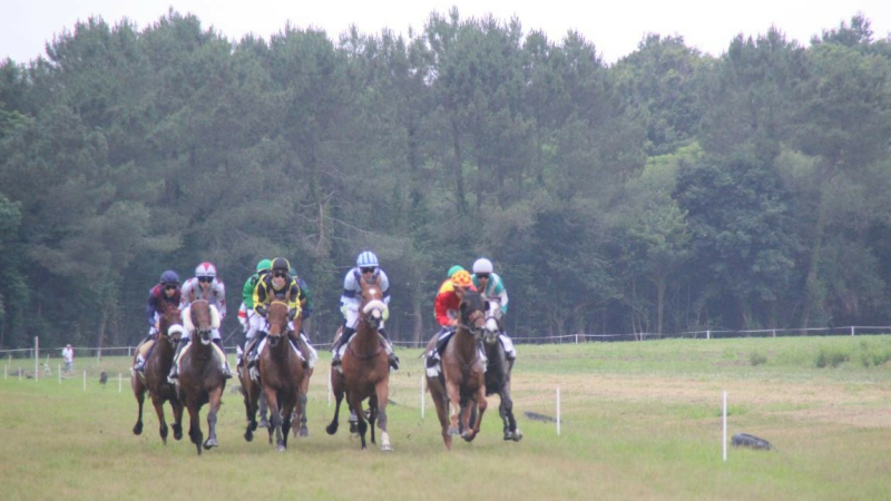 Courses de Chevaux et repas aux escargots