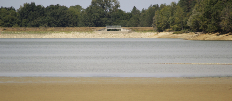 Des nouvelles du lac