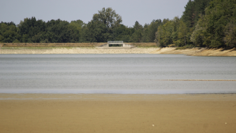 Des nouvelles du lac
