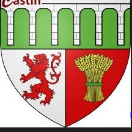 logo castin 3.JPG