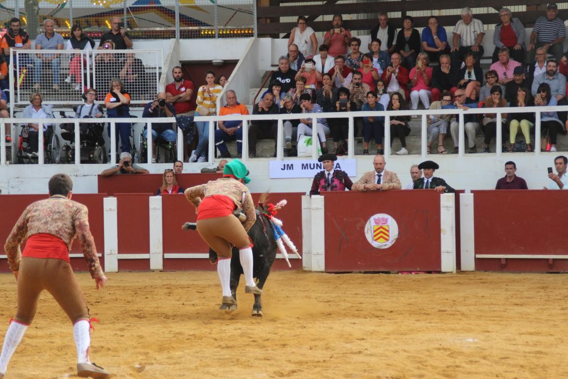 Les forcados arrêtent les toros à mains nues