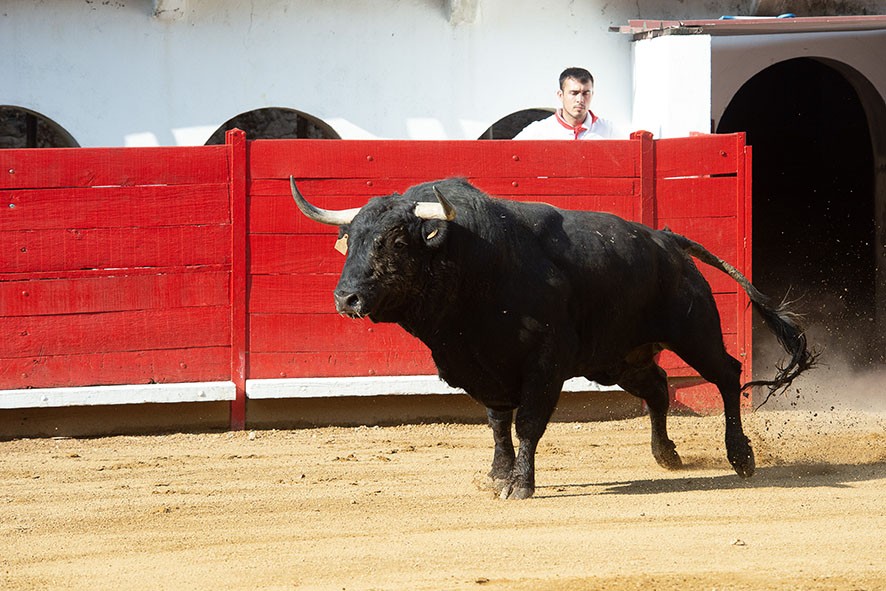 tendido corrida 2022-142.JPG