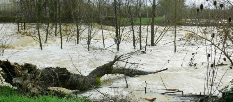 Catastrophes naturelles :