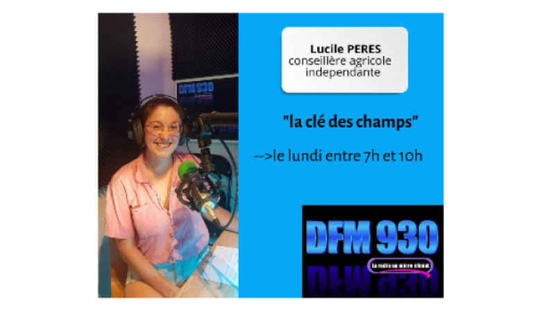 "La clé des champs" une chronique hebdomadaire de Lucile Péres, conseillère agricole, sur DFM 930
